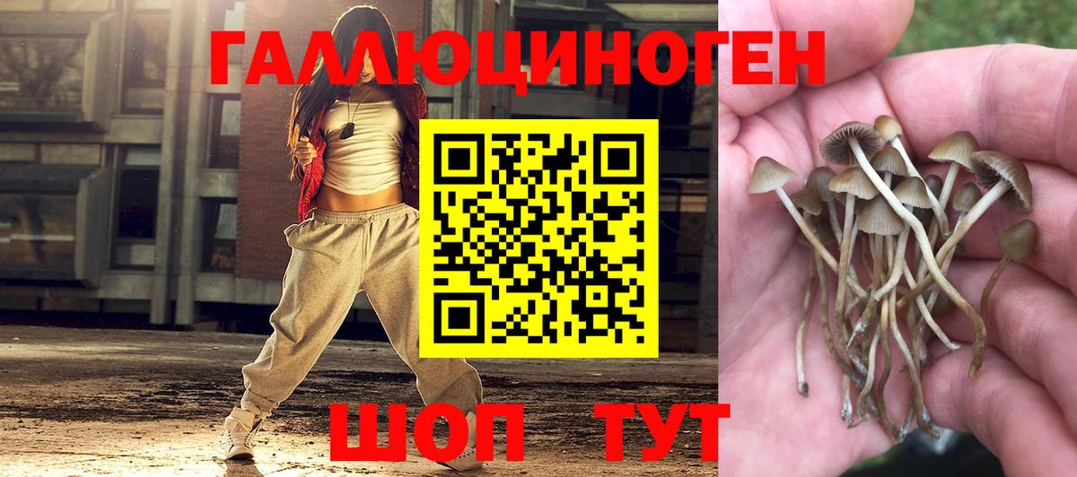 магазин    Вход с VPN  Ачинск  Галлюциногенные грибы MAGIC MUSHROOMS 